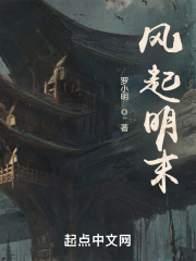 风起民国3
